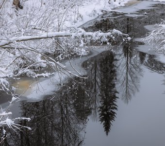 Зимнее безмолвие