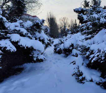 Через заросли и в даль