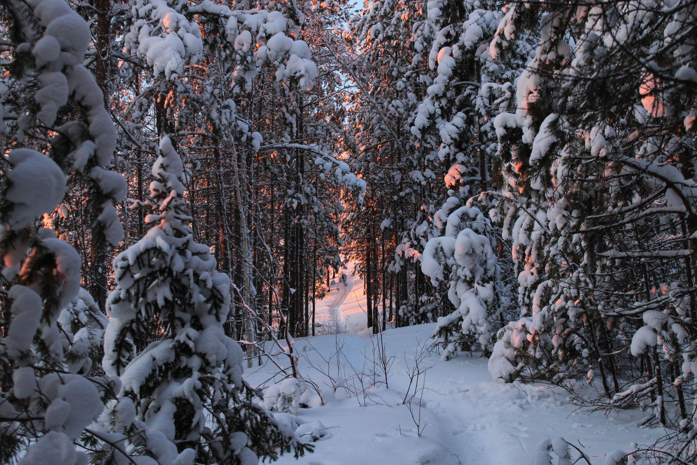 Рассвет впереди