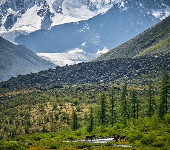 Предгорье Белухи