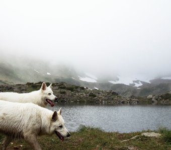 Голубые Озера, Камчатка