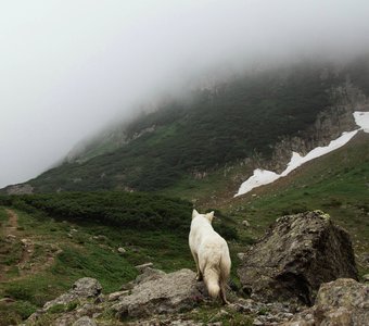 Голубые Озера, Камчатка