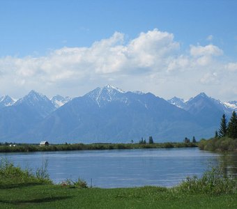 Умиротворение