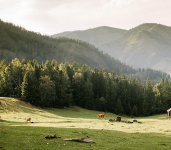 Российская "Швейцария"