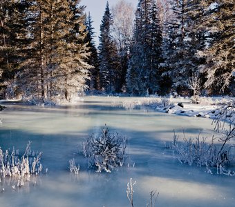 Лесной каток