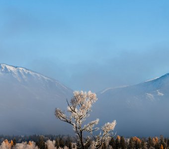 Осенний иней.