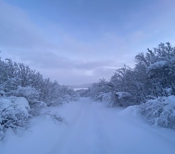 50 оттенков белого