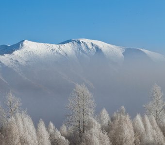 Морозное кружево.