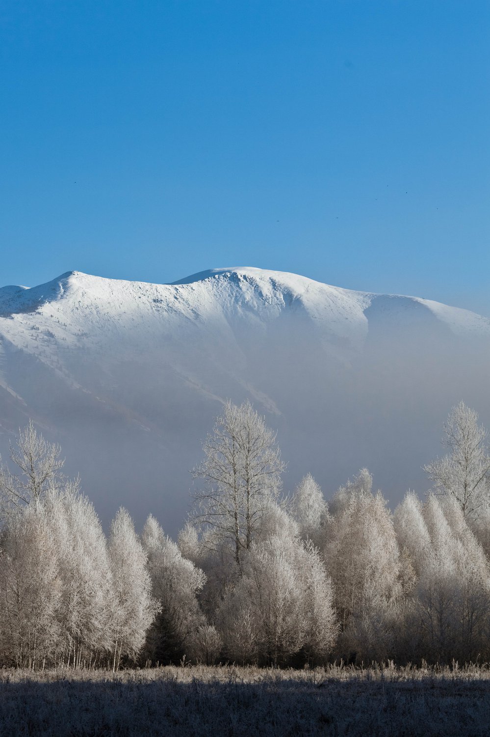 Морозное кружево