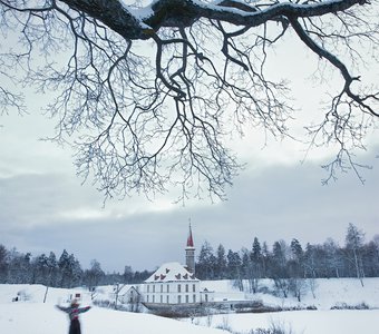 Гатчинская зима - у Приоратского дворца