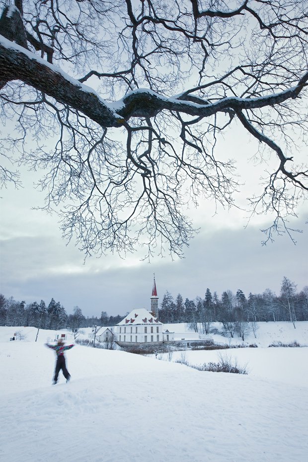 Гатчинская зима: у Приоратского дворца