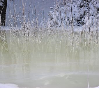 Зимний разлившийся ручей