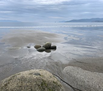 Яйца дракона