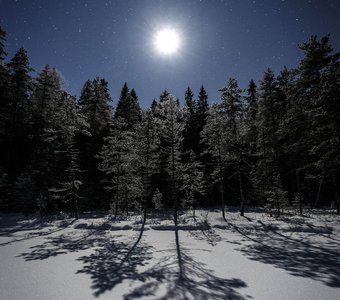 Волшебство морозной лунной ночи на Валдае
