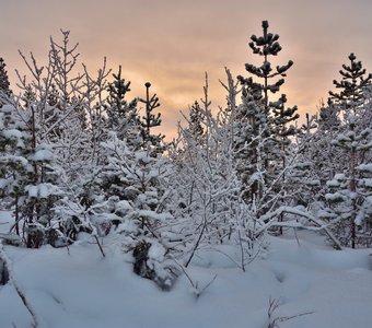 Нежные акварели заката