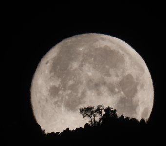 Заход Луны утром 28.01.21