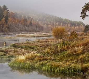 Еловка