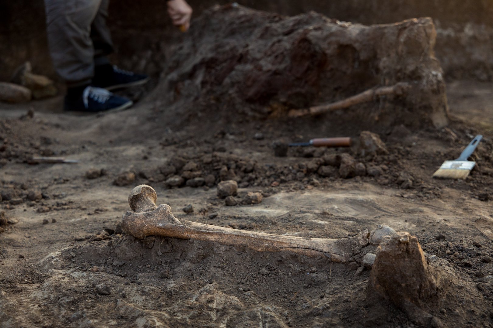Раскопки курганного могильника в Зауралье, Башкирия, 2020 год