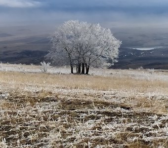 Первый мороз