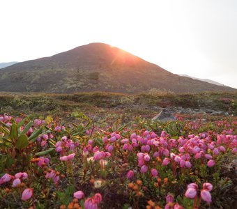 Колымская весна