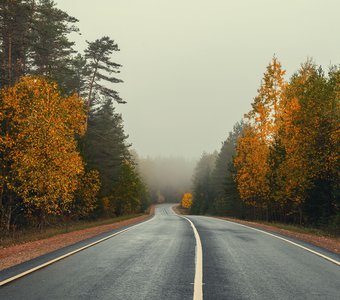 Дорога в осень..., Псковская область