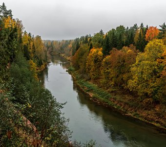 Осень, река Плюсса, Псковская область