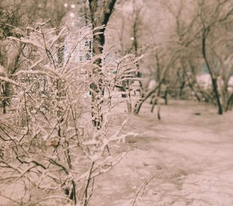 Зимний московский вечер