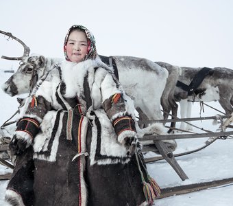 Портрет на нартах с оленями