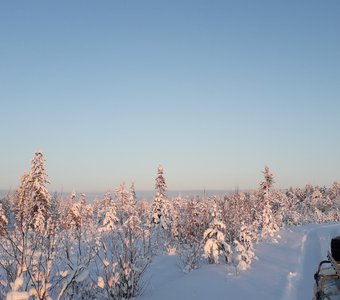 Тундра ,ямал