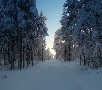 Зимняя дорога