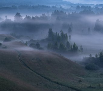 Белая ночь