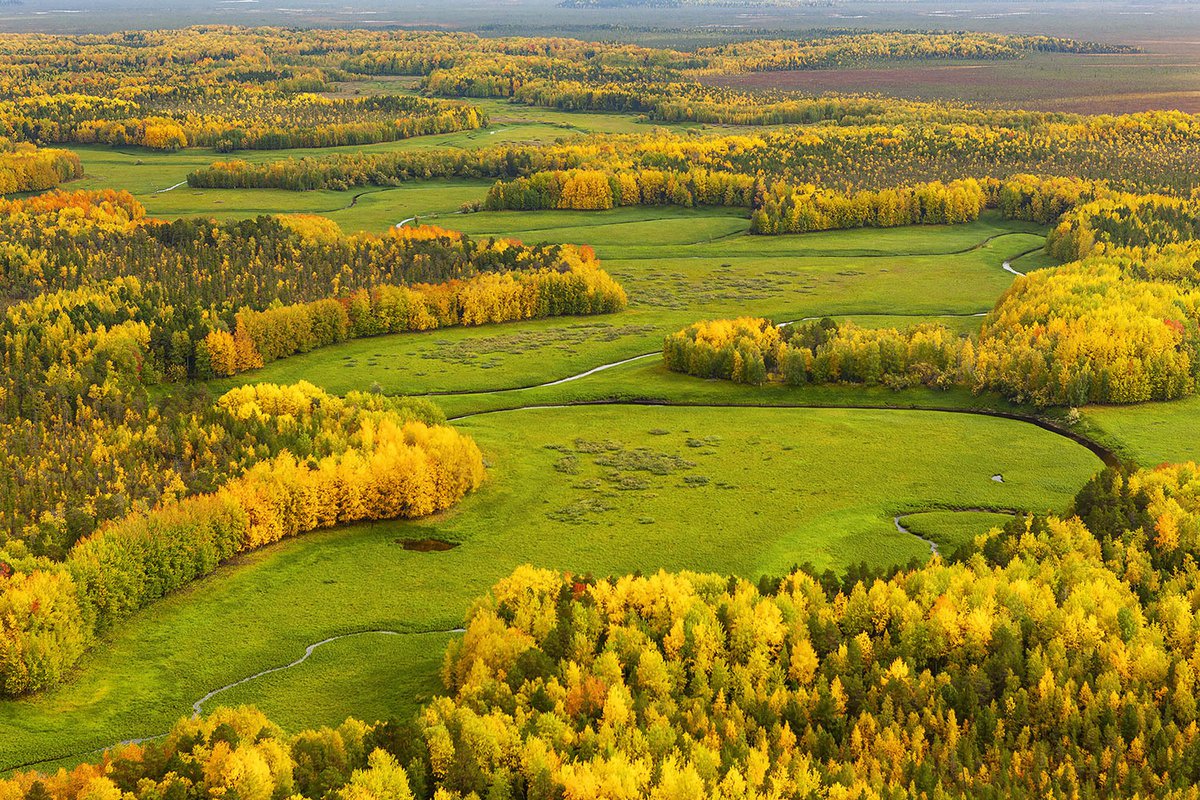 Западная сибирь фото