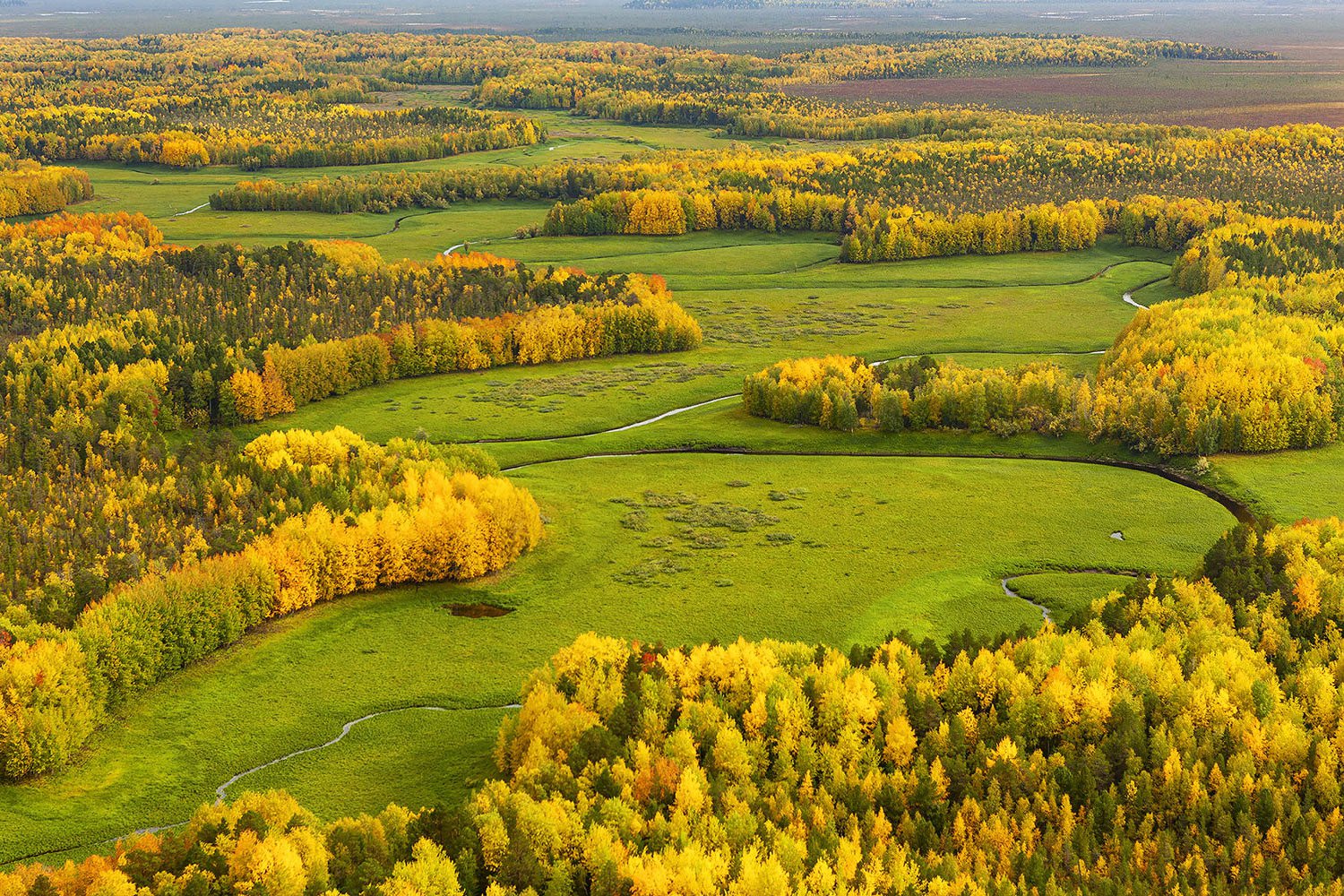 Обские соры в начале осени на севере Томской области