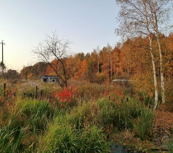 Дыхание осени