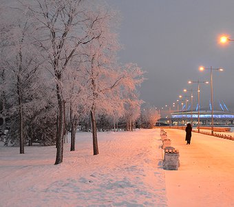 зимний вечер в парке 300-т летия Санкт-Петербурга