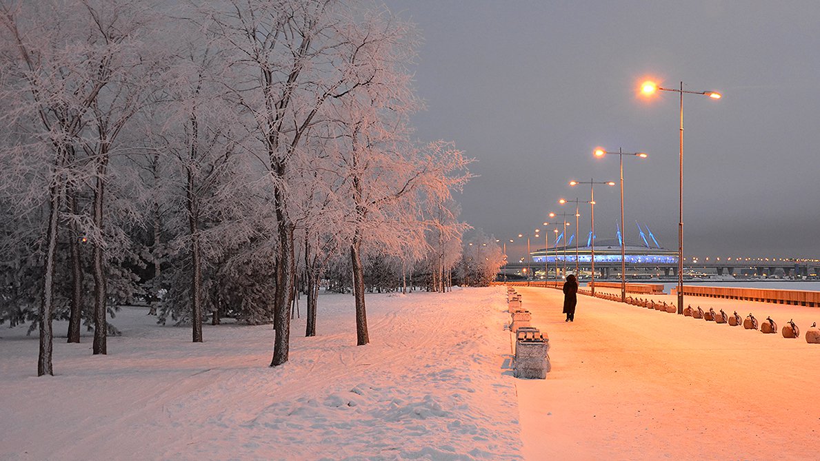 Зимний вечер в парке 300-летия Санкт-Петербурга