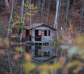 Осенний домик в лесу