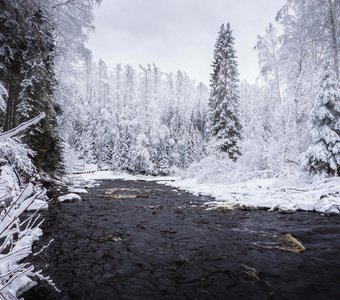 Зима в Линдуловской роще
