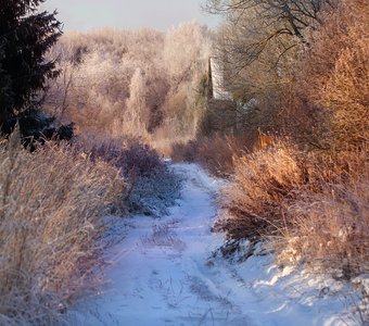 Зимняя красота в деревне