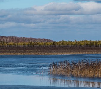 Зона затопления Рыбинского водохранилища