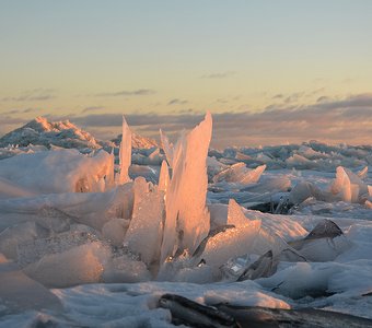 ледяные торосы в дельте Невы