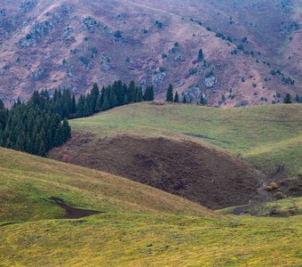 Дождливый день