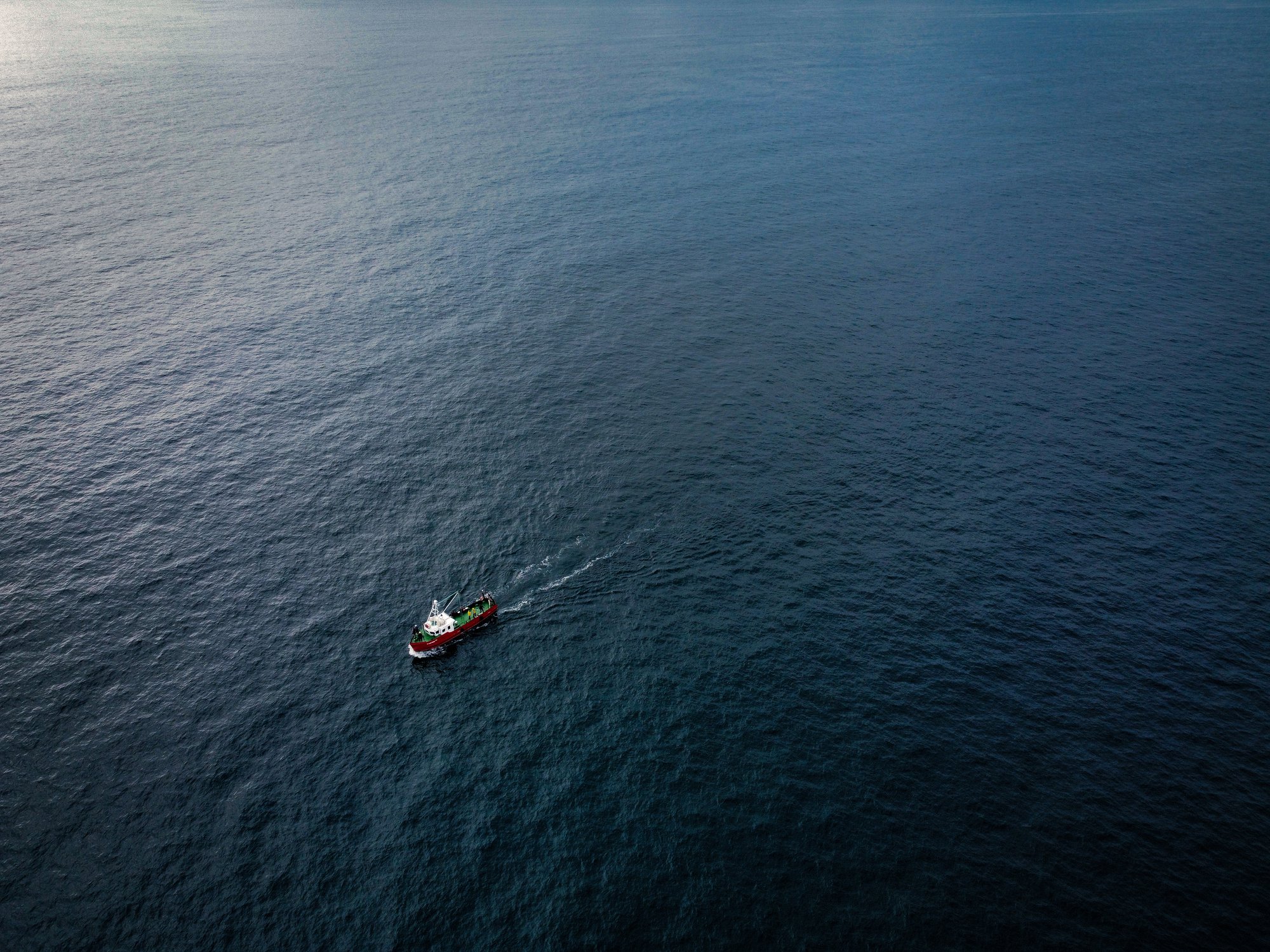 В поисках китов