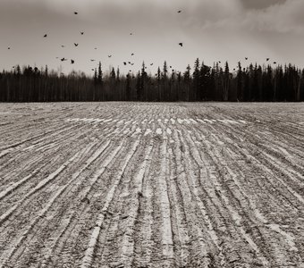 Осеннее предзимье