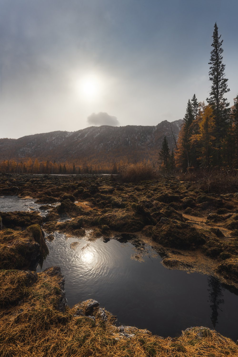 Улыбка осени