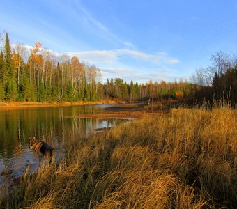 Осень на реке Сосьва. Североуральск