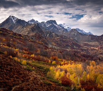 Осень в горах Абхазии