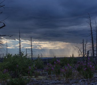 Дождь в долине р.Камчатка