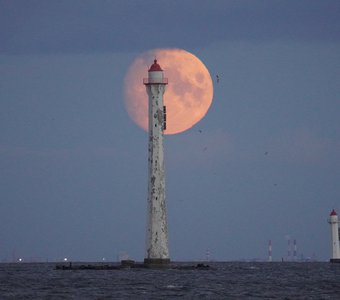 "Такая разная Луна"🌔 Восход Луны 17 октября'21Финский залив Кронштадт