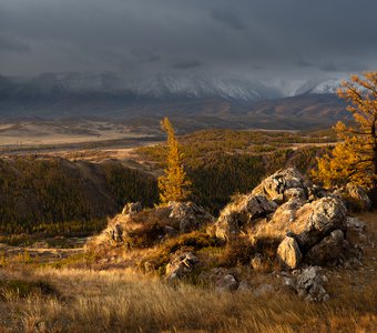 Чуйский тракт